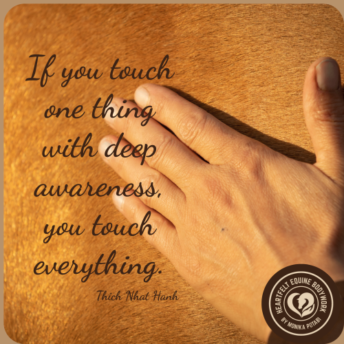 Touch is healing
